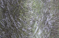 Hartshorne fibreglass roof work